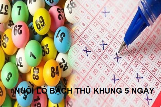 Kinh nghiệm nuôi lô bạch thủ khung 5 ngày